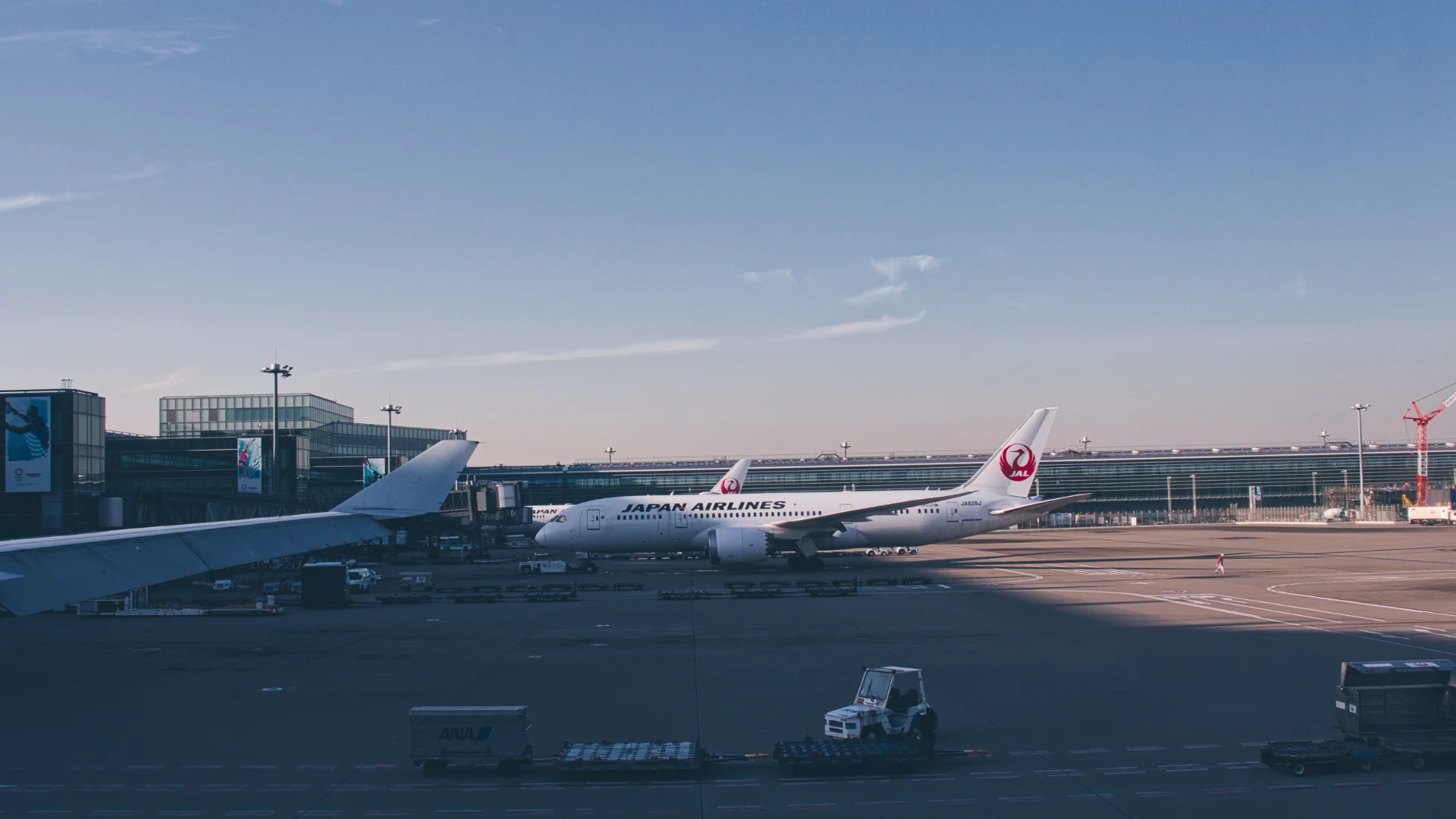 Japan Airlines B787 at Haneda Airport