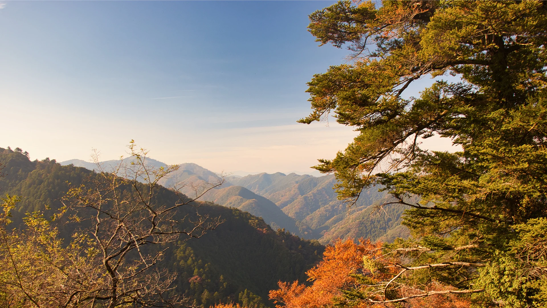 Mt Takao 1